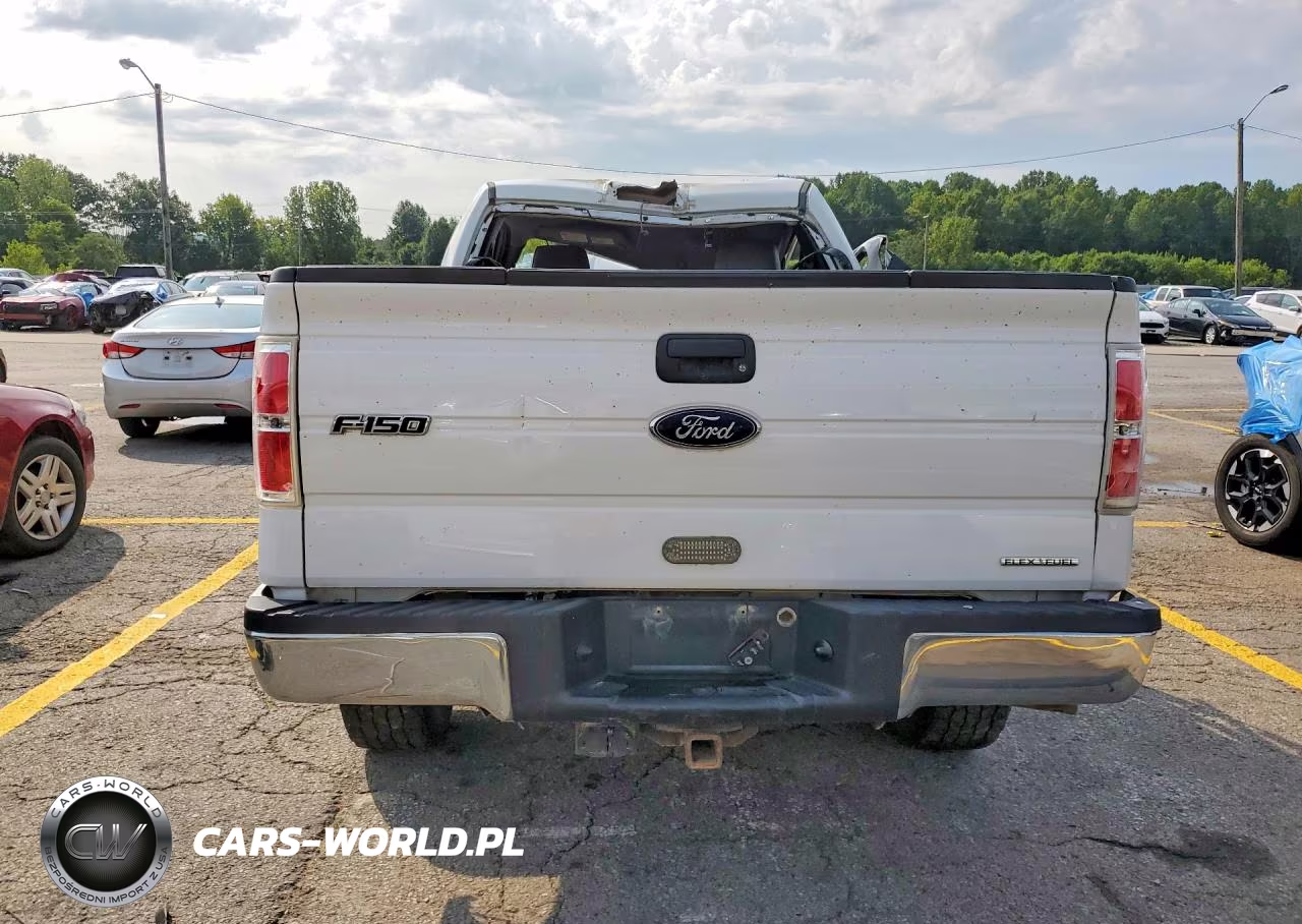 2014 Ford F150 VIN:1FTMF1EM5EFC29201 - 6