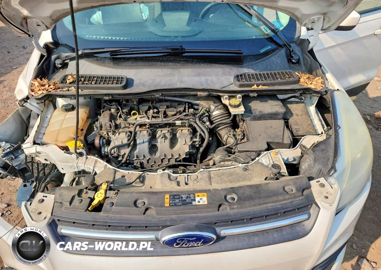 2013 Ford Escape Se VIN:1FMCU9G96DUC30436 - 12