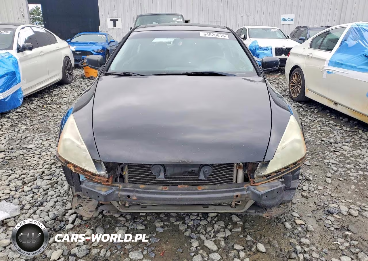 2007 Honda Accord Ex VIN:1HGCM72797A021438 - 5