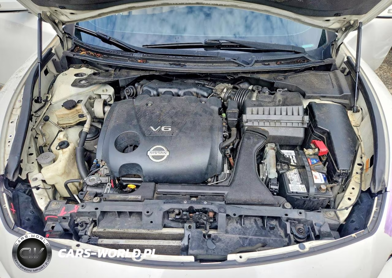 2010 Nissan Maxima S VIN:1N4AA5AP6AC818977 - 11