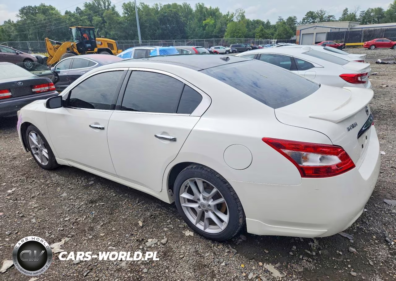 2010 Nissan Maxima S VIN:1N4AA5AP6AC818977 - 2