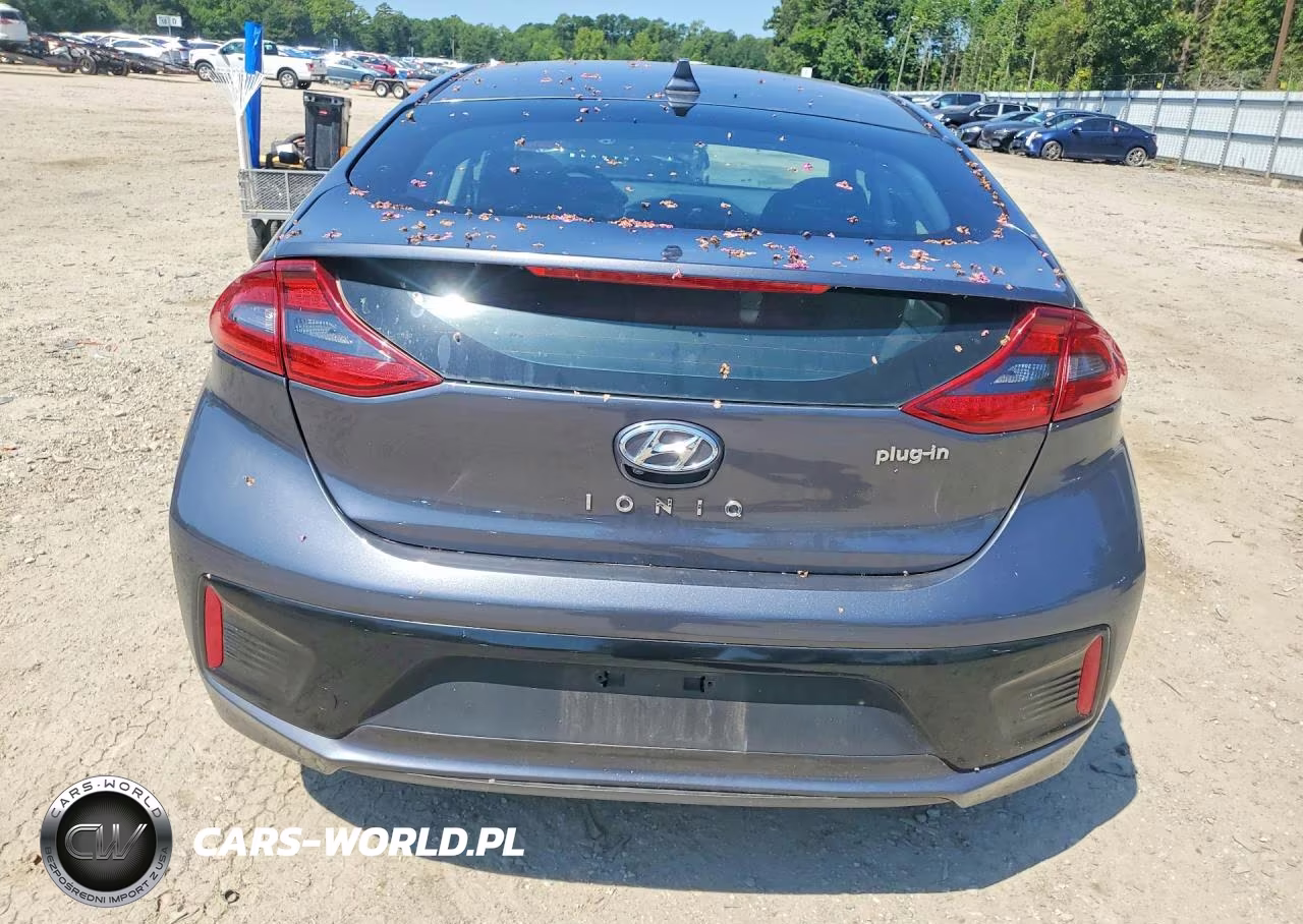2019 Hyundai Ioniq Plug-In Hybrid Base VIN:KMHC65LD3KU172148 - 6