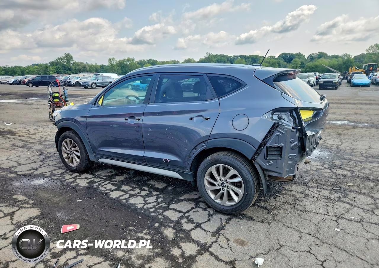 2017 Hyundai Tucson Se VIN:KM8J3CA44HU495396 - 2