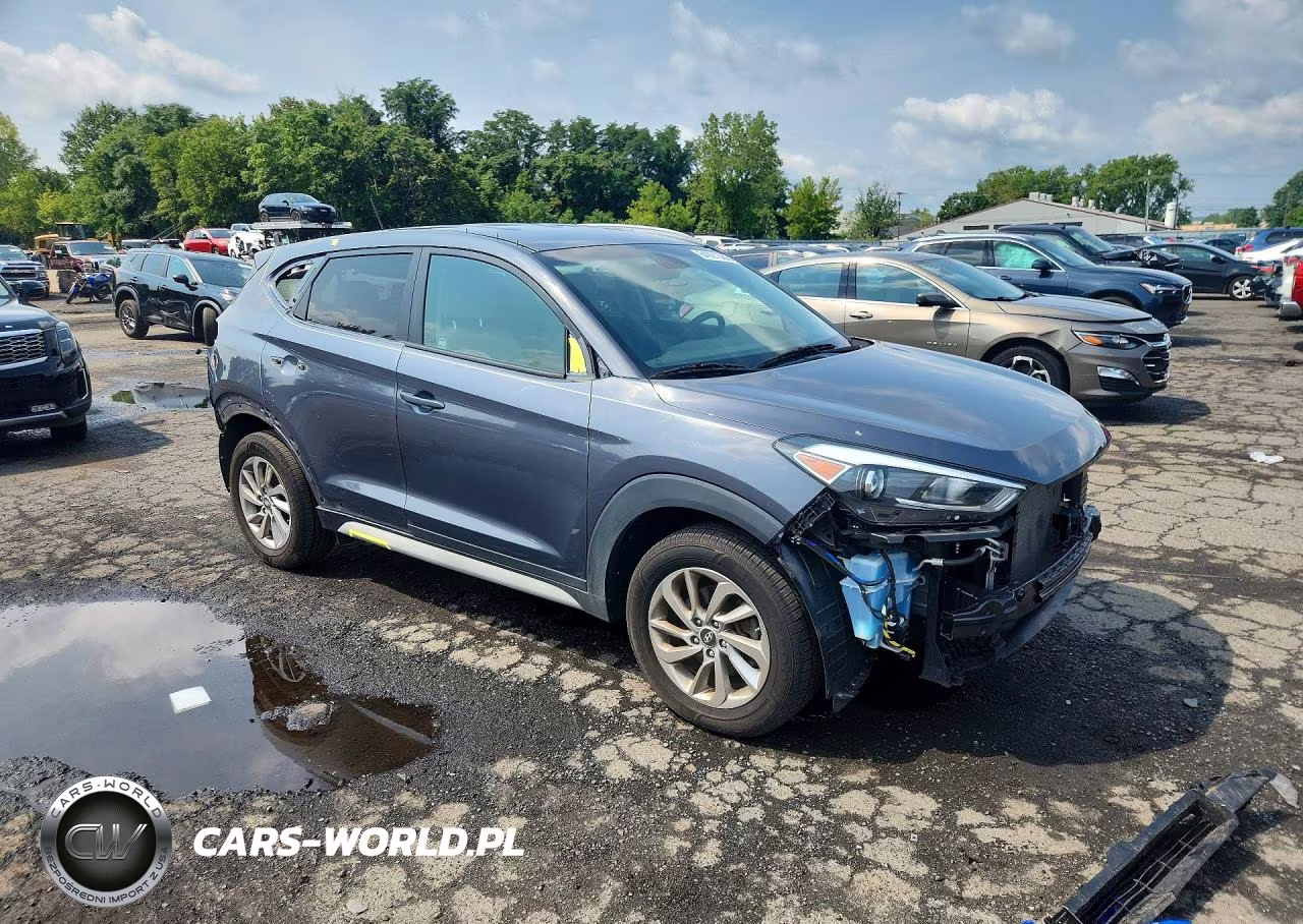 2017 Hyundai Tucson Se VIN:KM8J3CA44HU495396 - 4
