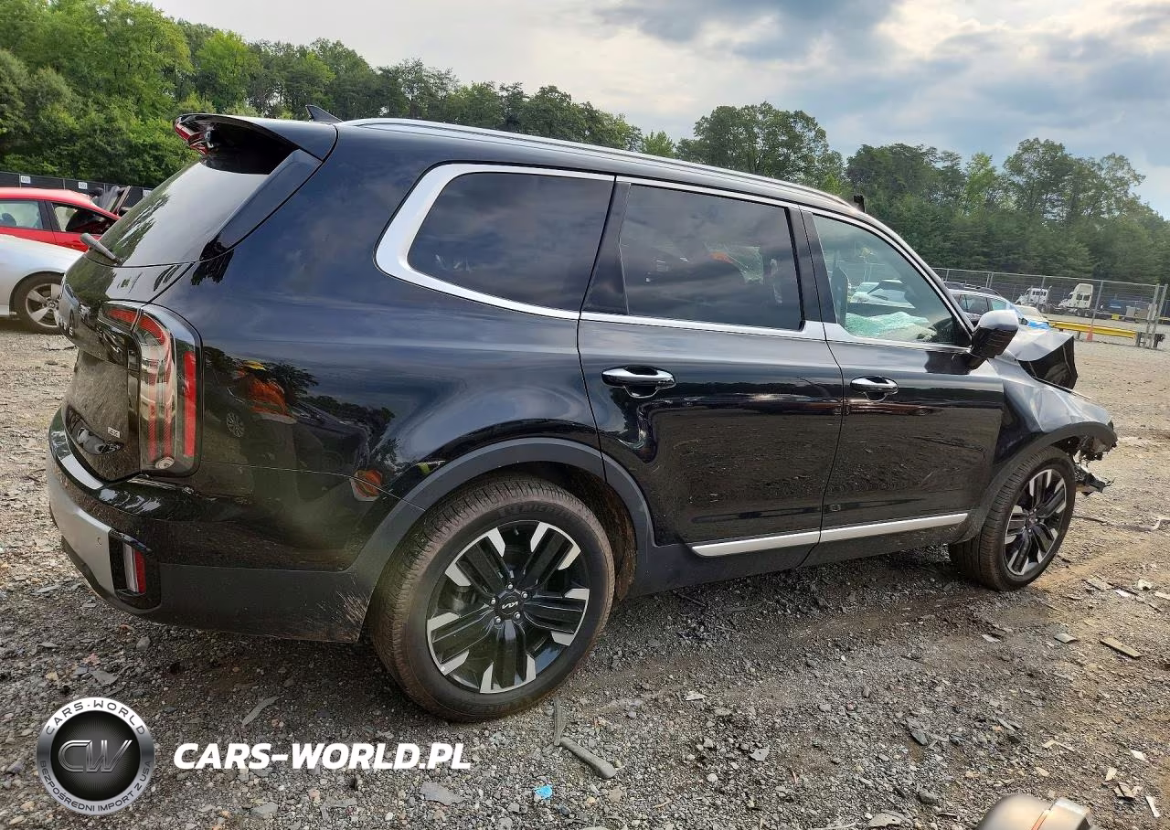 2023 Kia Telluride Sx-Prestige VIN:5XYP5DGC4PG329649 - 3