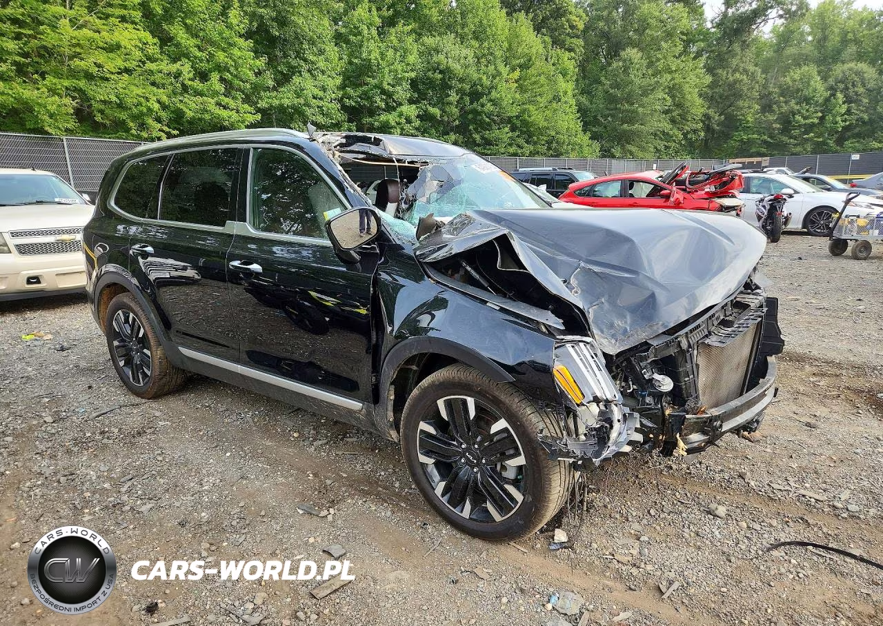 2023 Kia Telluride Sx-Prestige VIN:5XYP5DGC4PG329649 - 4