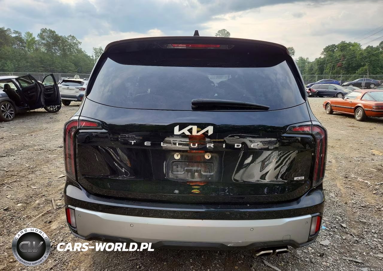 2023 Kia Telluride Sx-Prestige VIN:5XYP5DGC4PG329649 - 6