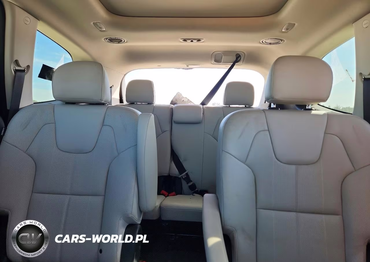 2023 Kia Telluride Sx VIN:5XYP5DGC1PG334176 - 10