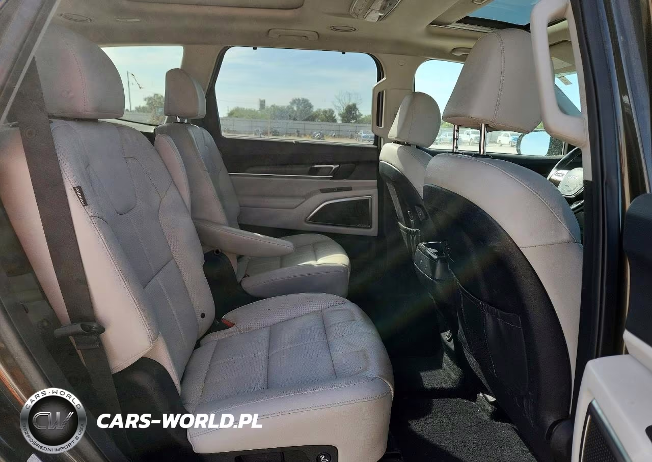 2023 Kia Telluride Sx VIN:5XYP5DGC1PG334176 - 11