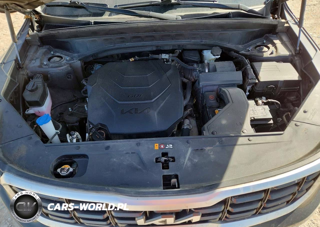 2023 Kia Telluride Sx VIN:5XYP5DGC1PG334176 - 12