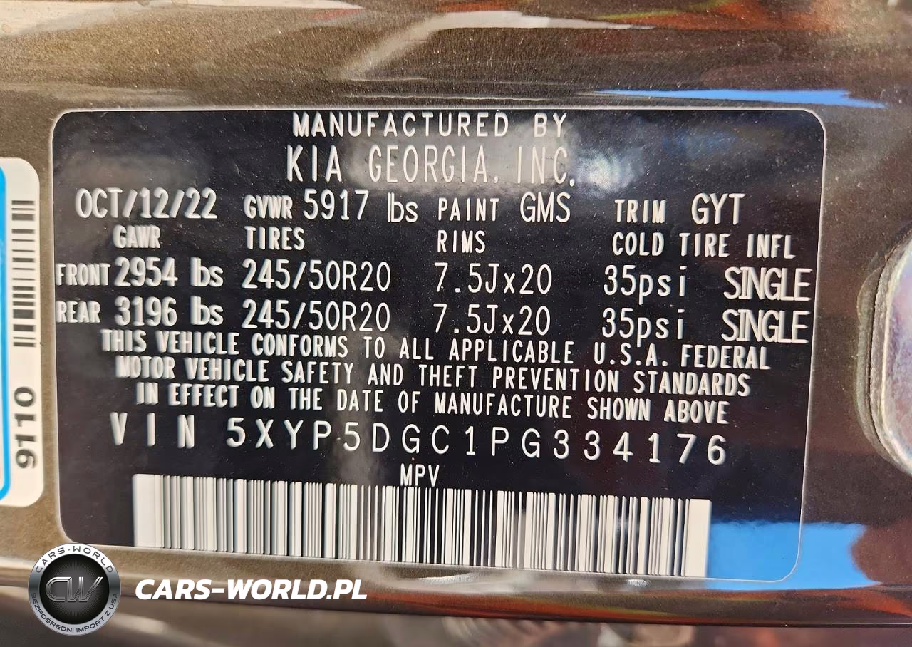 2023 Kia Telluride Sx VIN:5XYP5DGC1PG334176 - 13