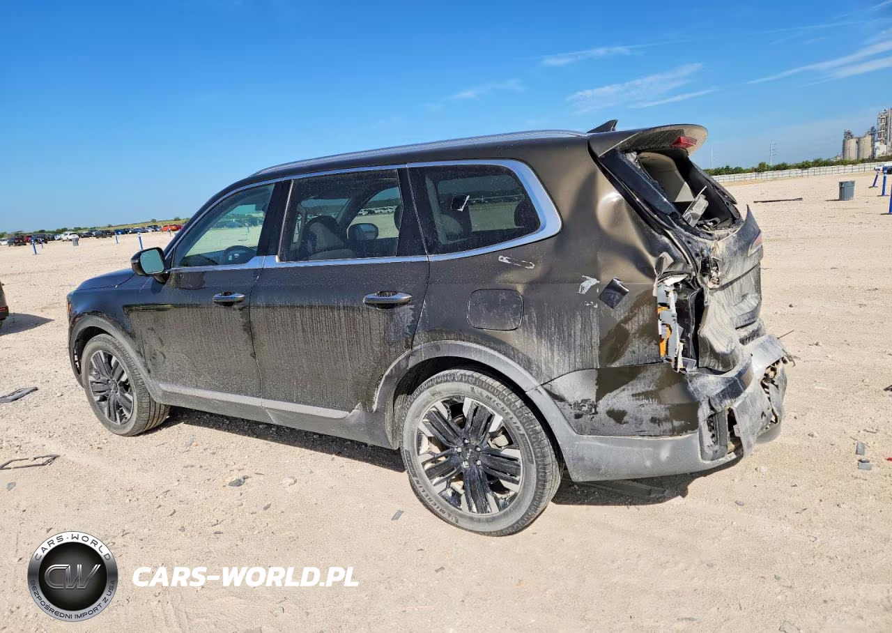 2023 Kia Telluride Sx VIN:5XYP5DGC1PG334176 - 2