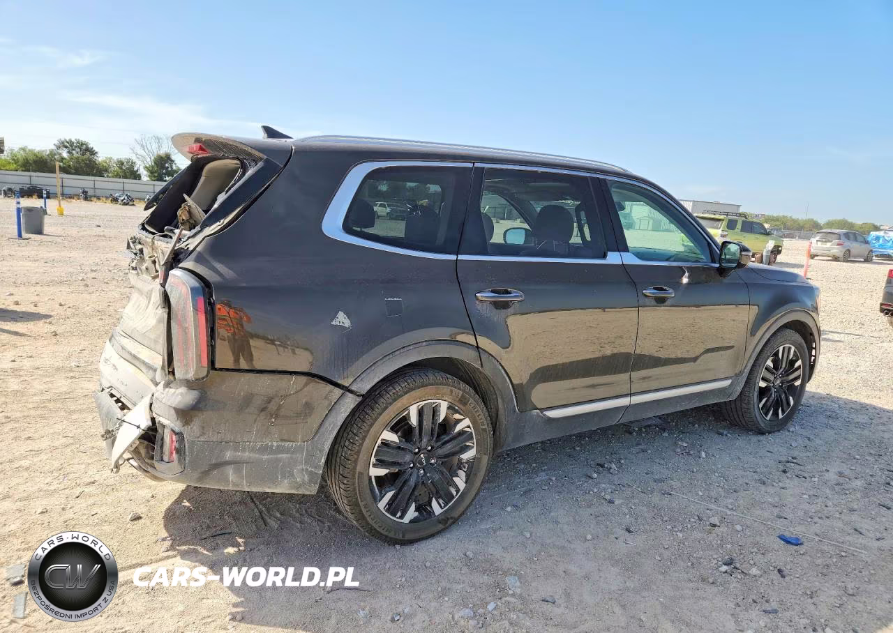 2023 Kia Telluride Sx VIN:5XYP5DGC1PG334176 - 3