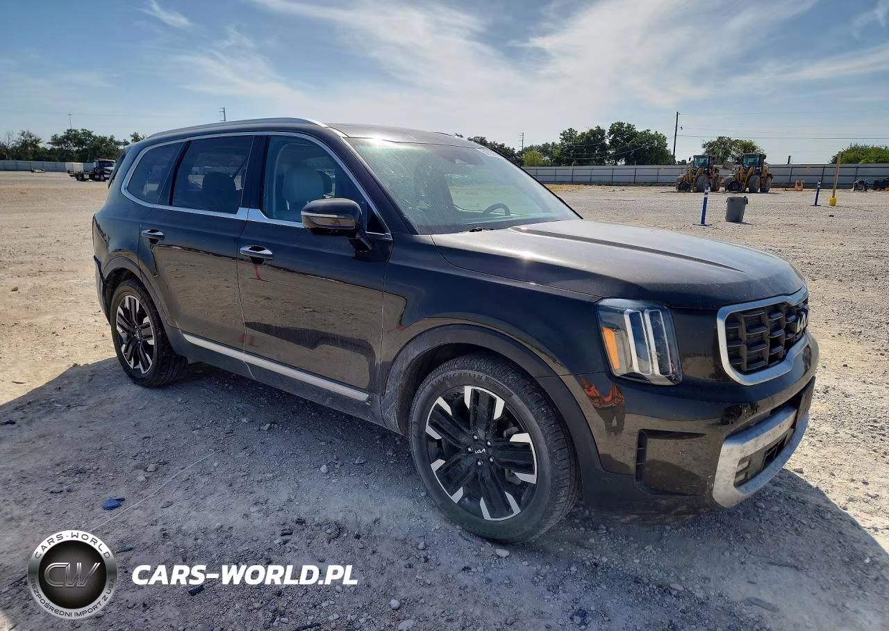 2023 Kia Telluride Sx VIN:5XYP5DGC1PG334176 - 4