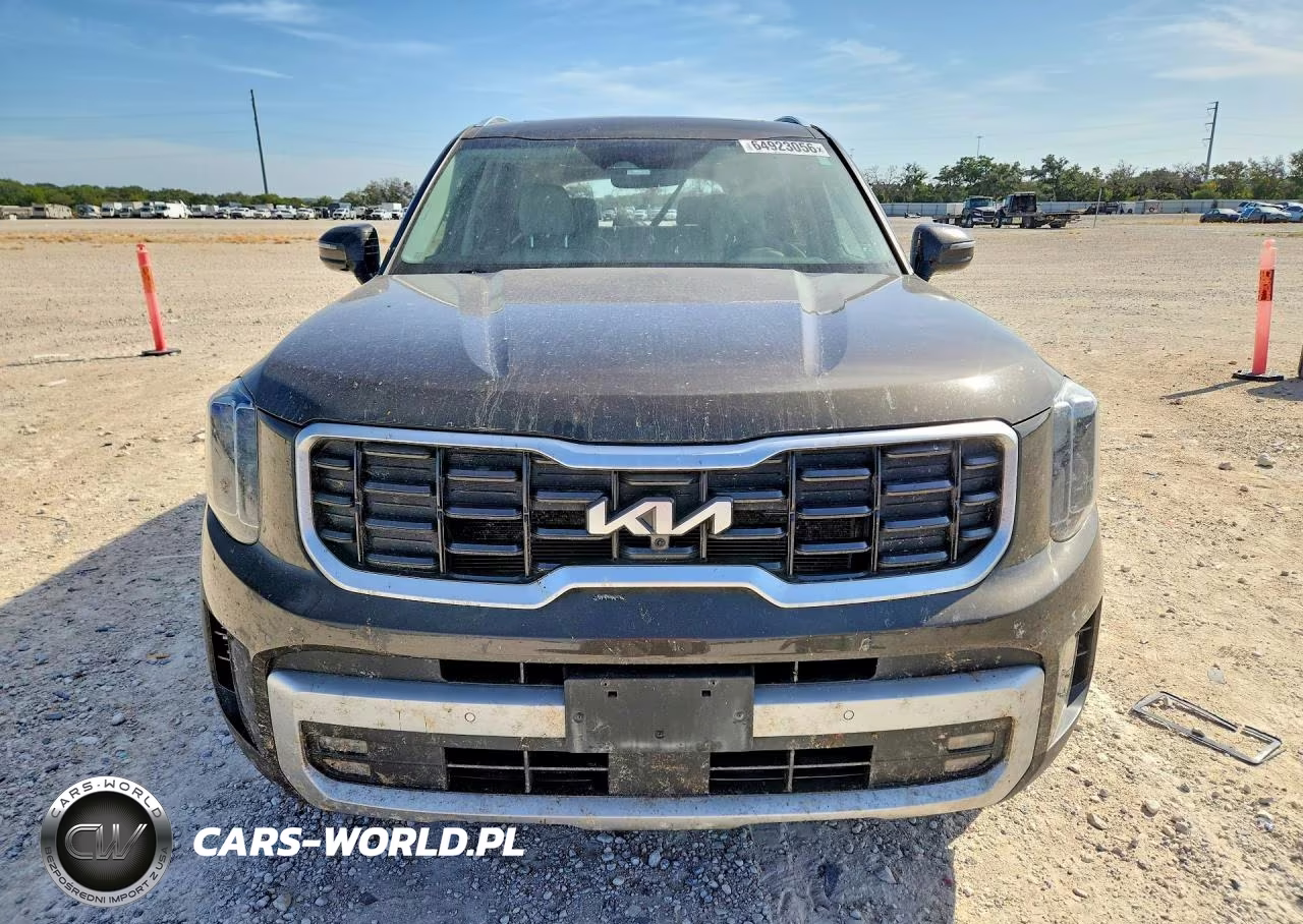 2023 Kia Telluride Sx VIN:5XYP5DGC1PG334176 - 5