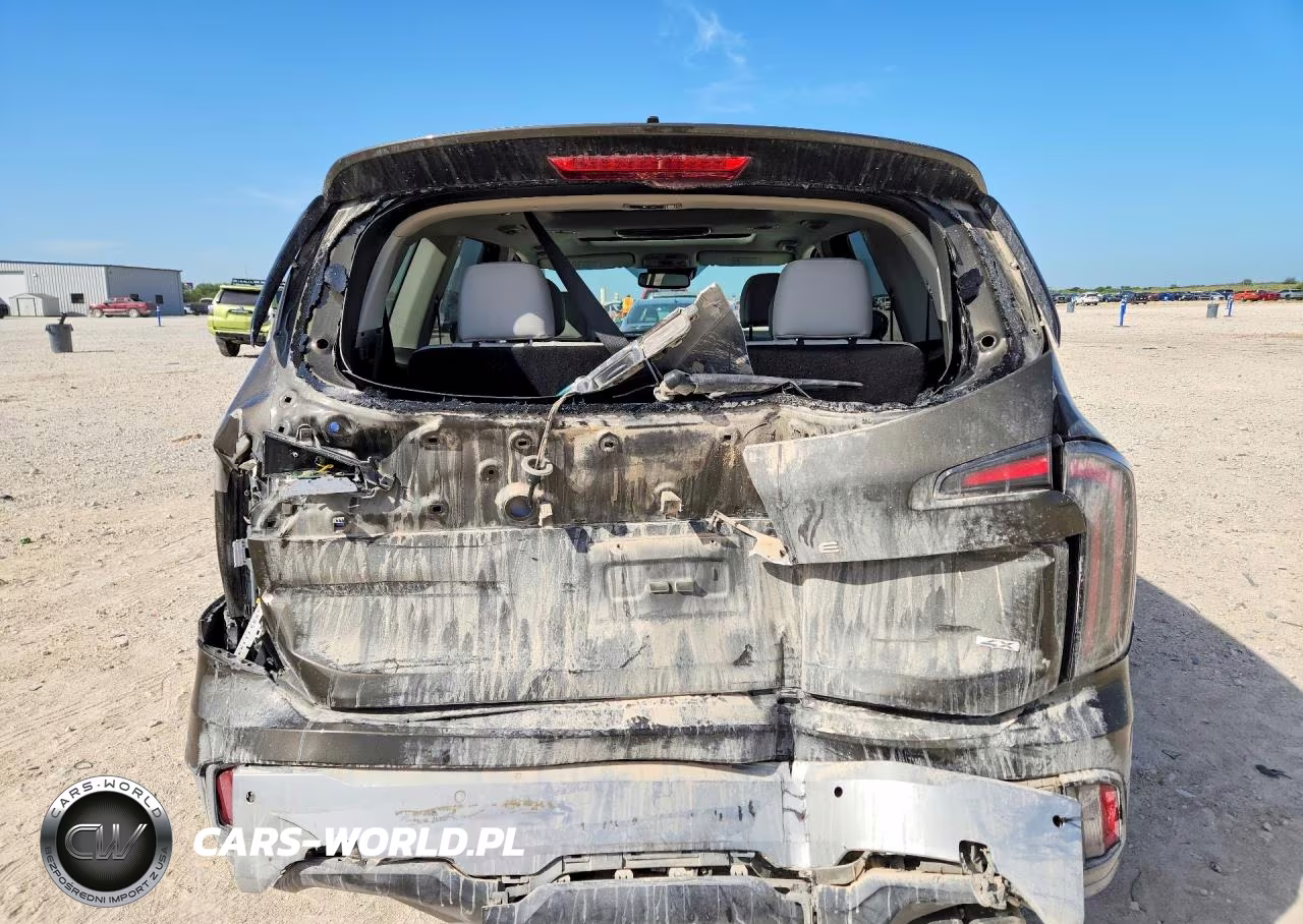2023 Kia Telluride Sx VIN:5XYP5DGC1PG334176 - 6