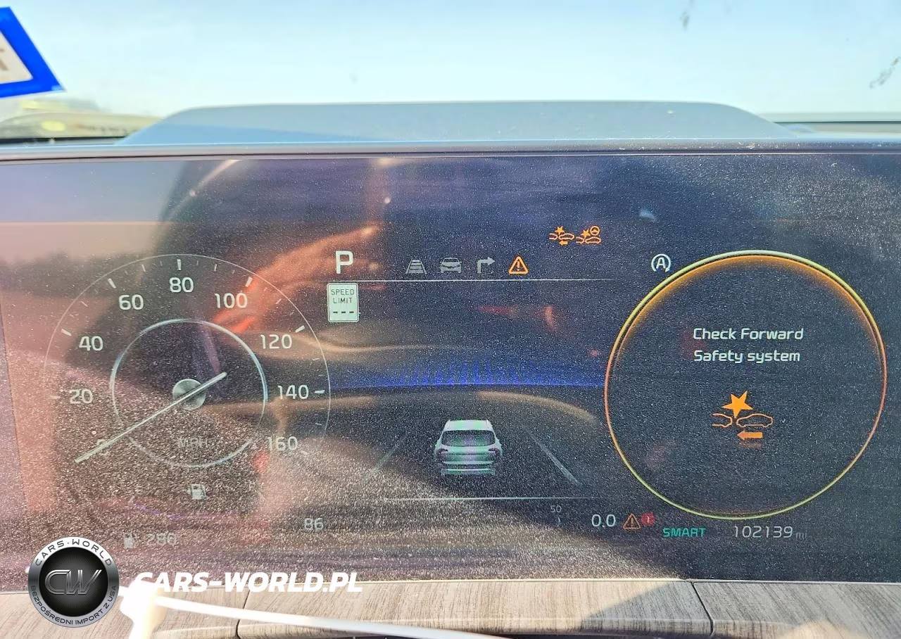 2023 Kia Telluride Sx VIN:5XYP5DGC1PG334176 - 9