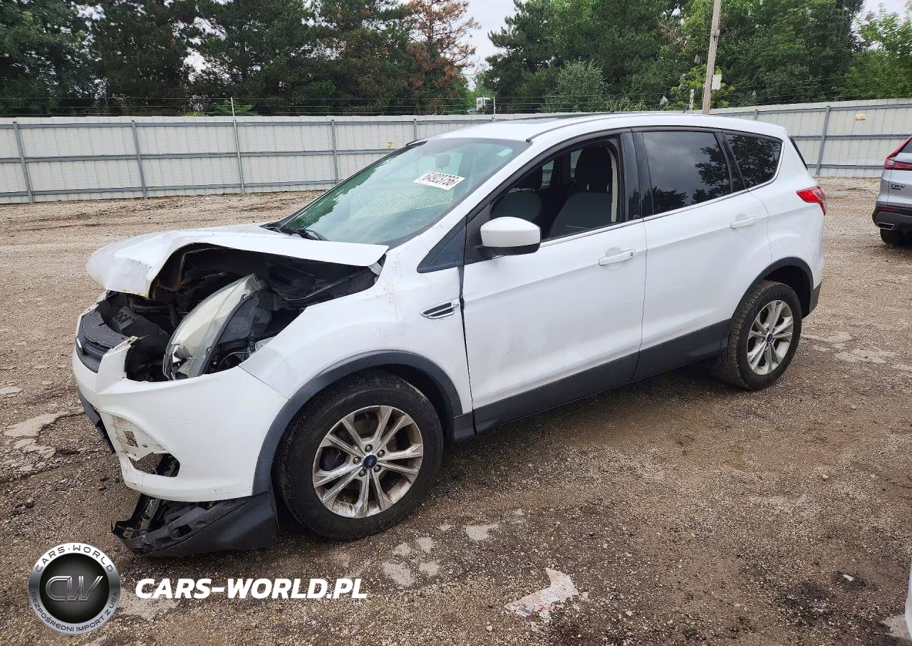 2013 Ford Escape Se