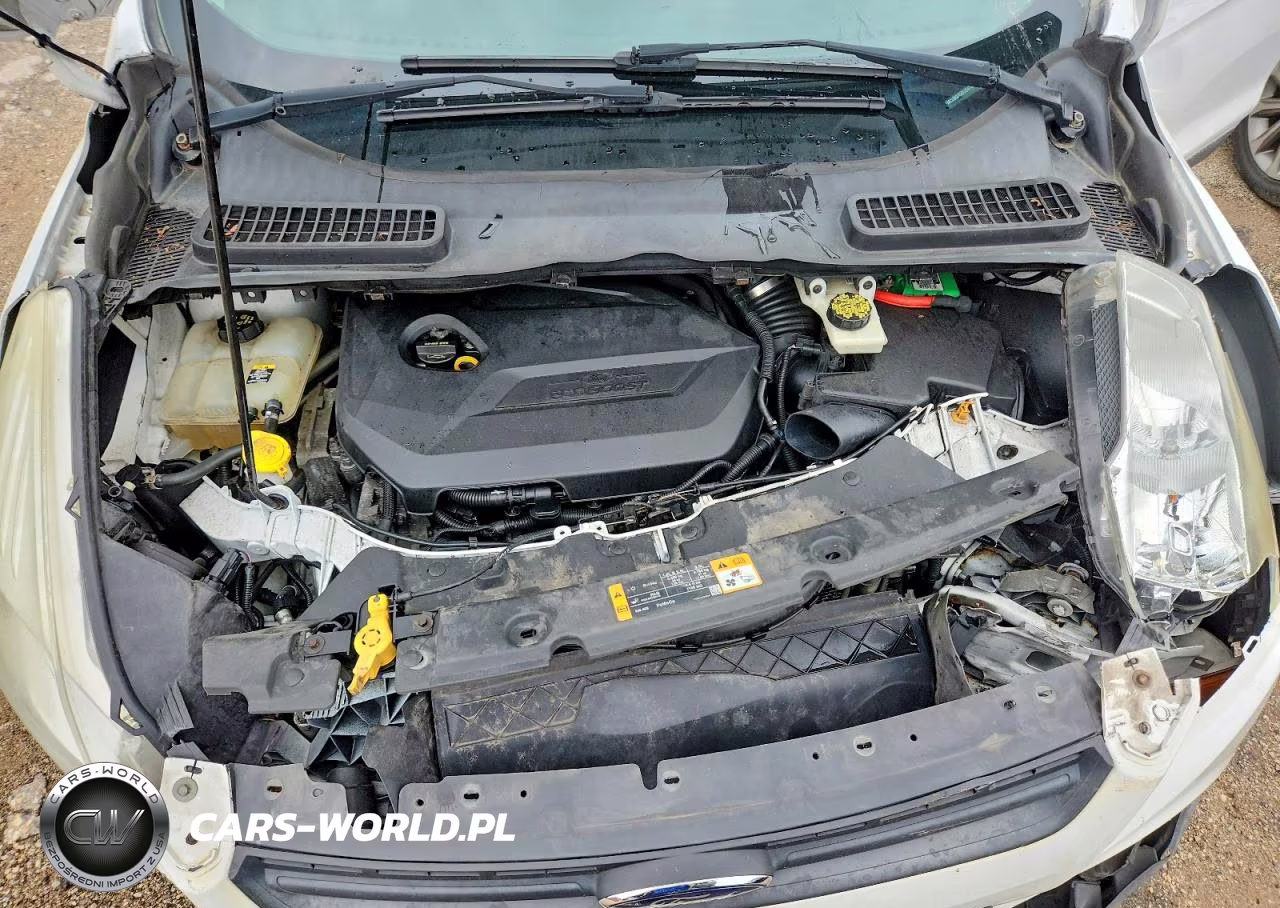 2013 Ford Escape Se VIN:1FMCU0GX5DUD47659 - 12