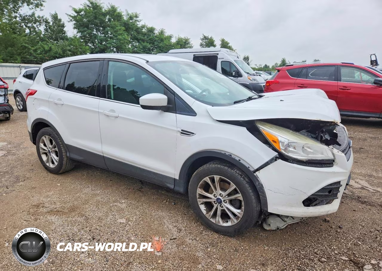2013 Ford Escape Se VIN:1FMCU0GX5DUD47659 - 4