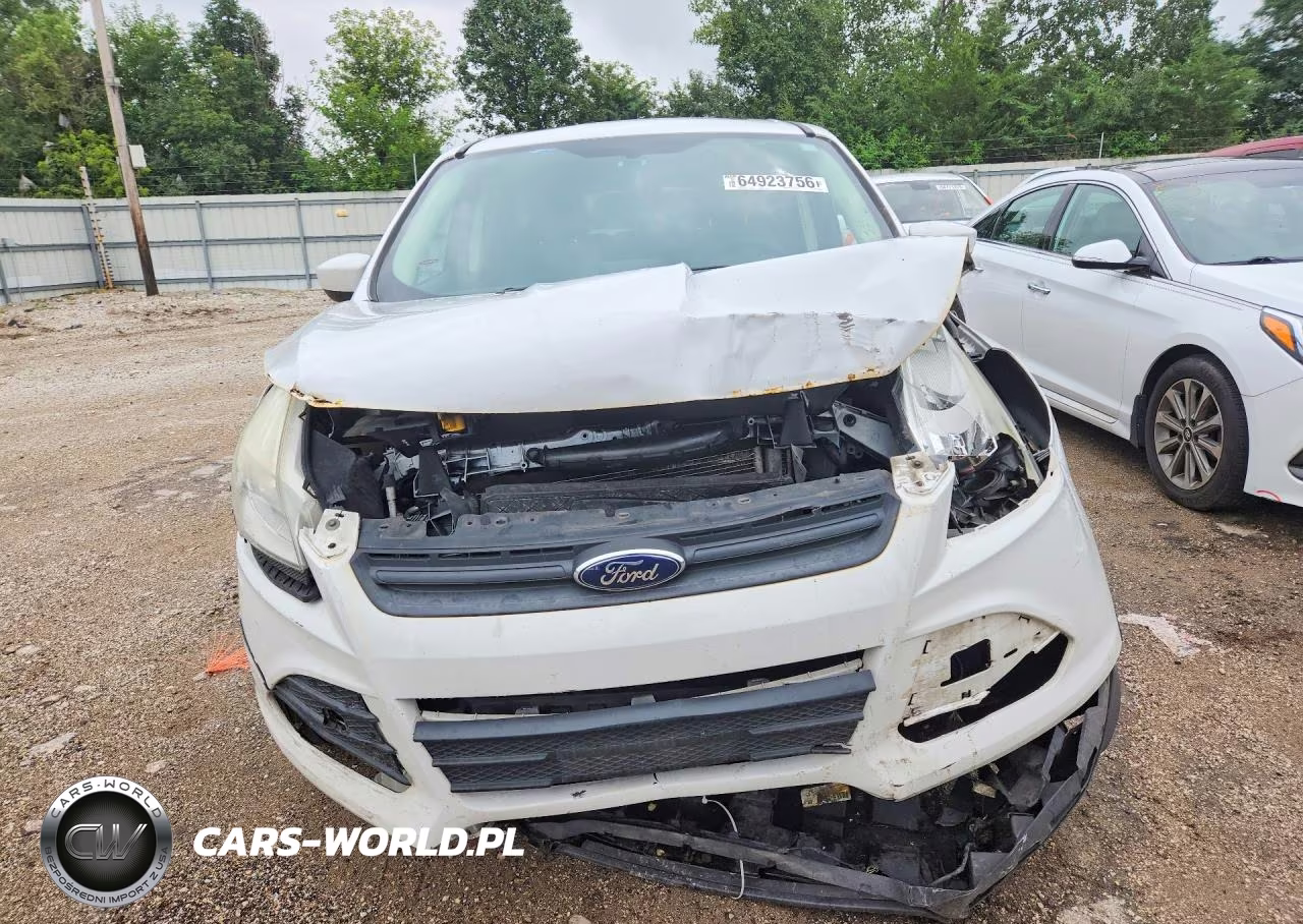 2013 Ford Escape Se VIN:1FMCU0GX5DUD47659 - 5