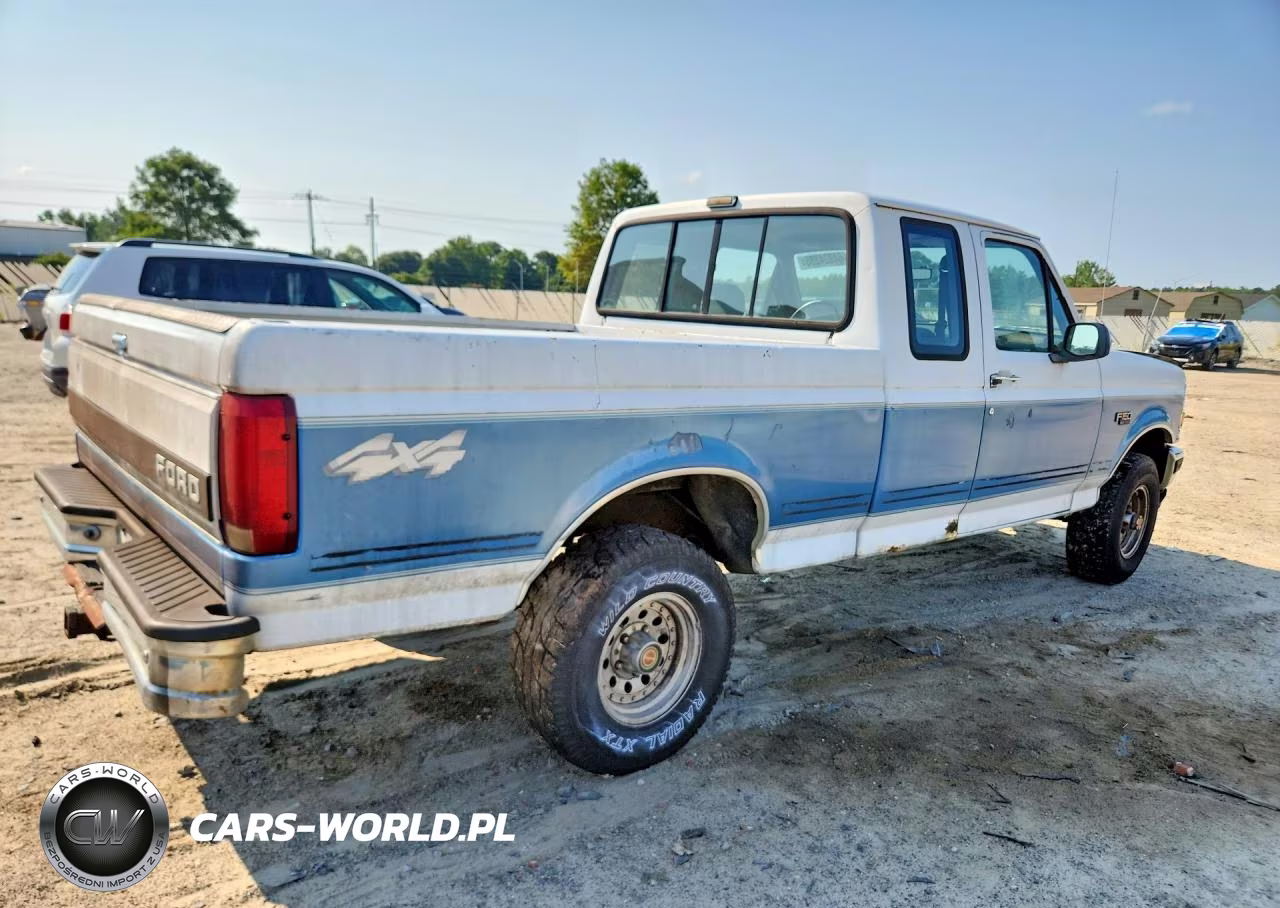1993 Ford F150 VIN:1FTEX14N1PKA82770 - 3
