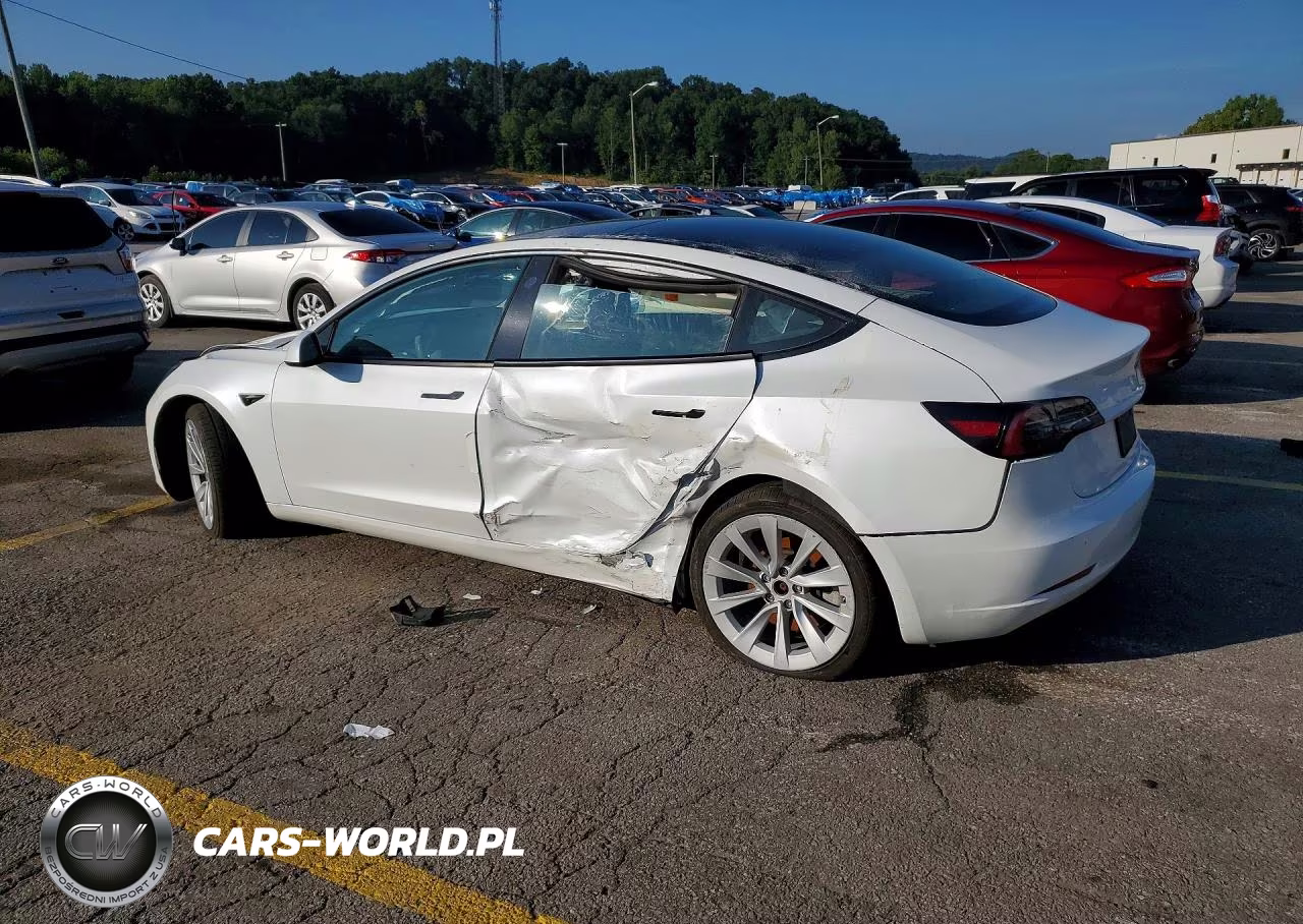 2023 Tesla Model 3 VIN:5YJ3E1EA9PF433446 - 2