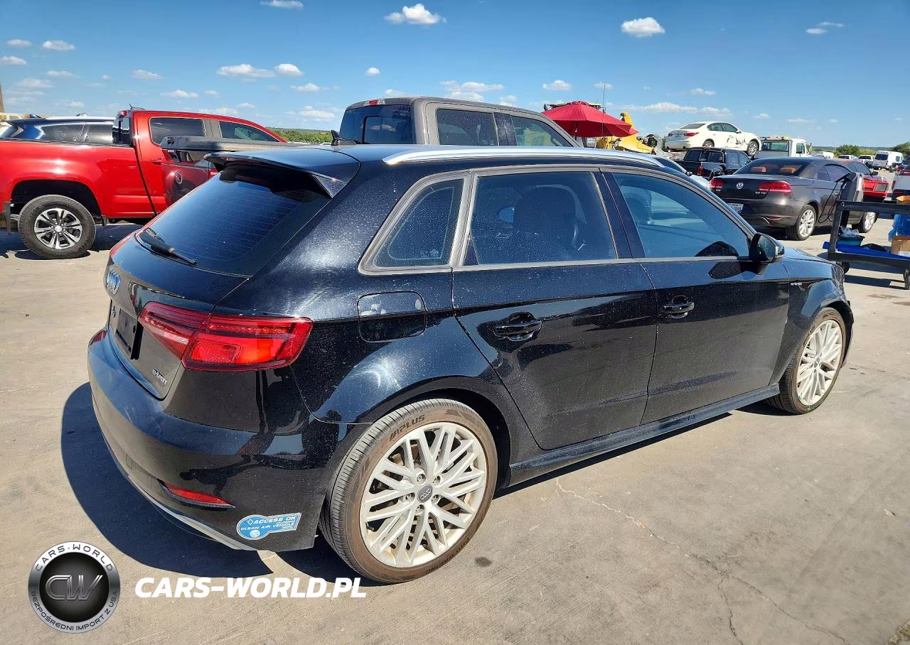 2018 Audi A3 E-Tron Premium VIN:WAUUPBFF7JA060189 - 3