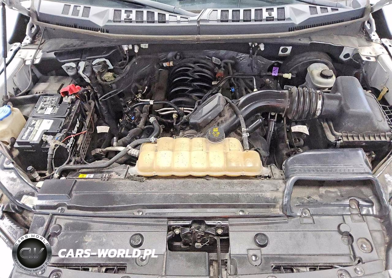 2019 Ford F150 VIN:1FTMF1C57KKD59933 - 11