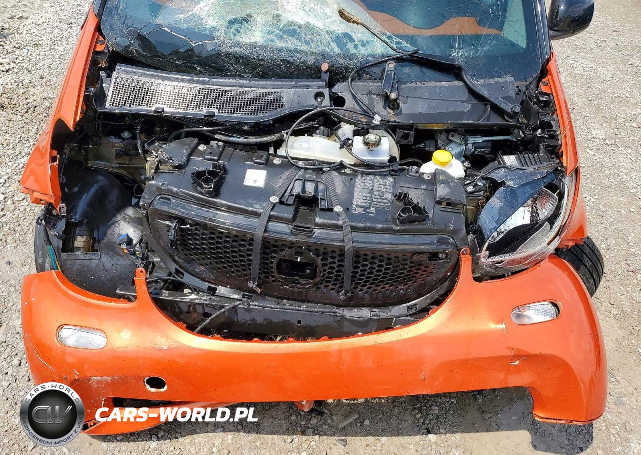 2016 Smart Eq Fortwo VIN:WMEFJ5DA5GK055745 - 11