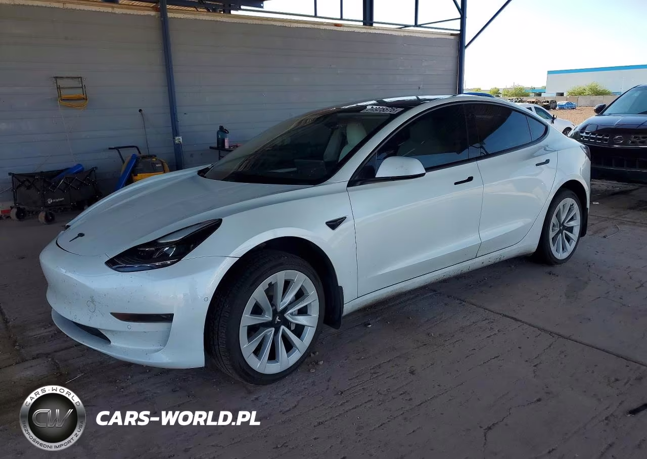 2021 Tesla Model 3 VIN:5YJ3E1EA1MF073102 - 1