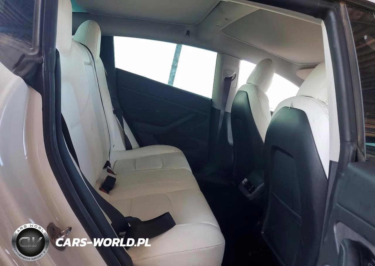 2021 Tesla Model 3 VIN:5YJ3E1EA1MF073102 - 10