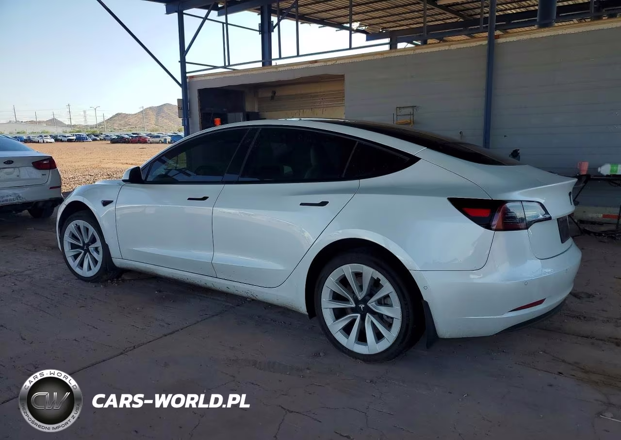 2021 Tesla Model 3 VIN:5YJ3E1EA1MF073102 - 2