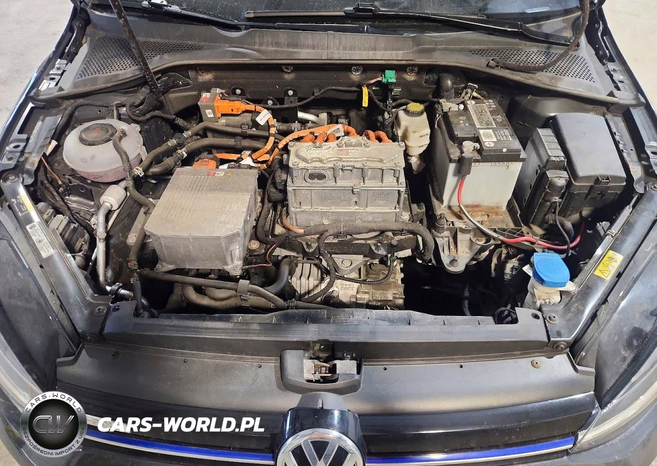 2019 Volkswagen E-Golf Se VIN:WVWKR7AU7KW911497 - 11
