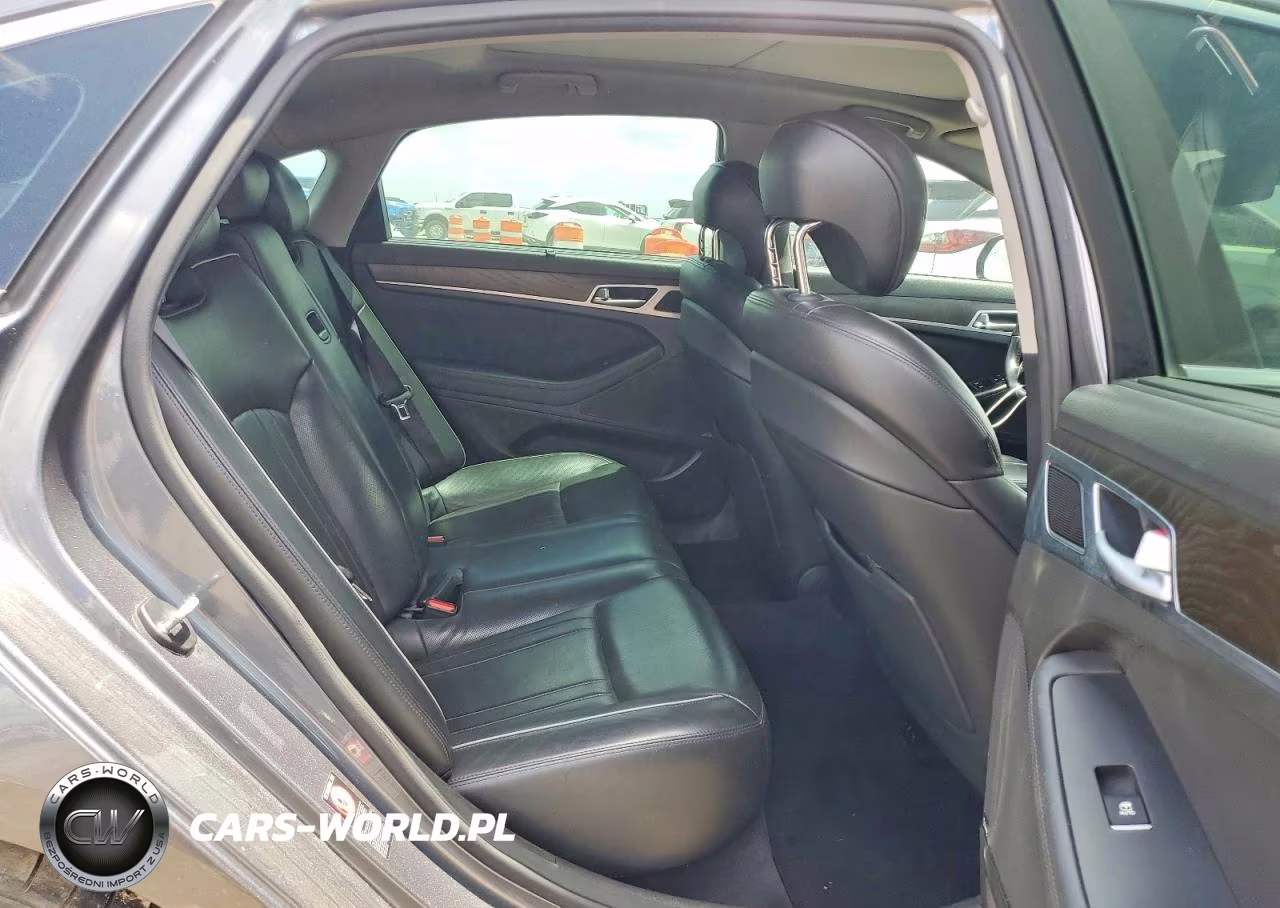 2016 Hyundai Genesis 3.8L VIN:KMHGN4JE0GU109168 - 10