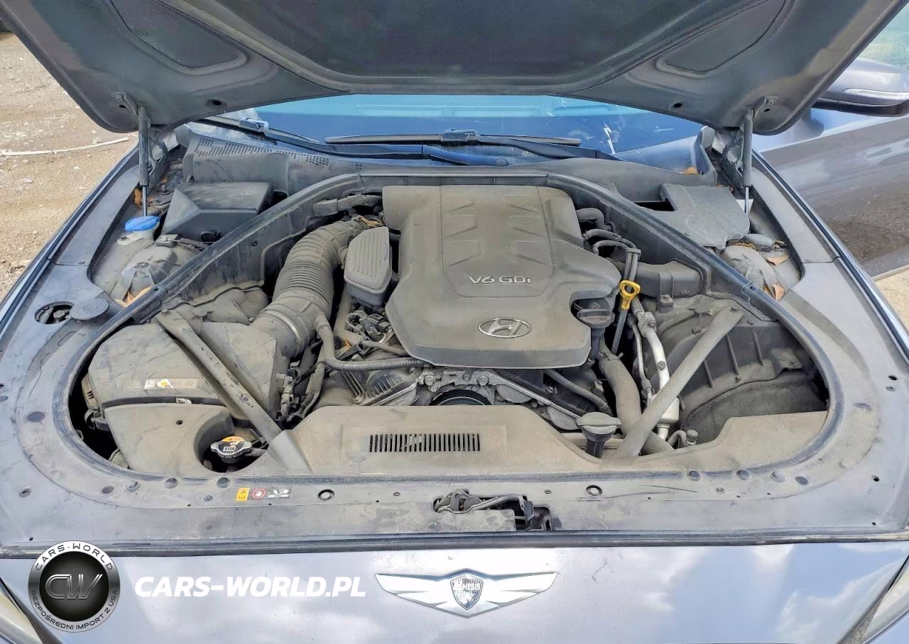 2016 Hyundai Genesis 3.8L VIN:KMHGN4JE0GU109168 - 11