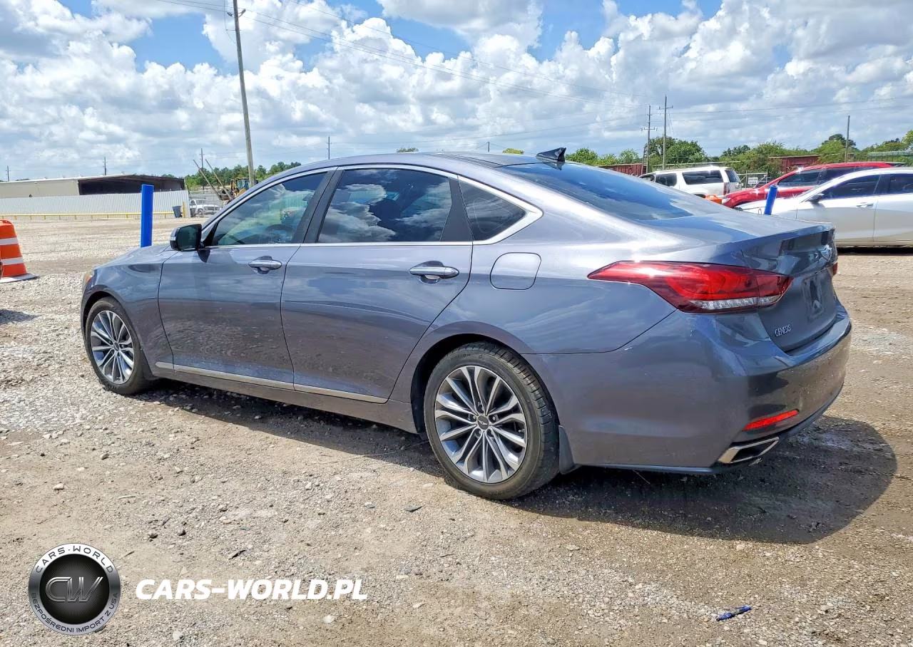 2016 Hyundai Genesis 3.8L VIN:KMHGN4JE0GU109168 - 2