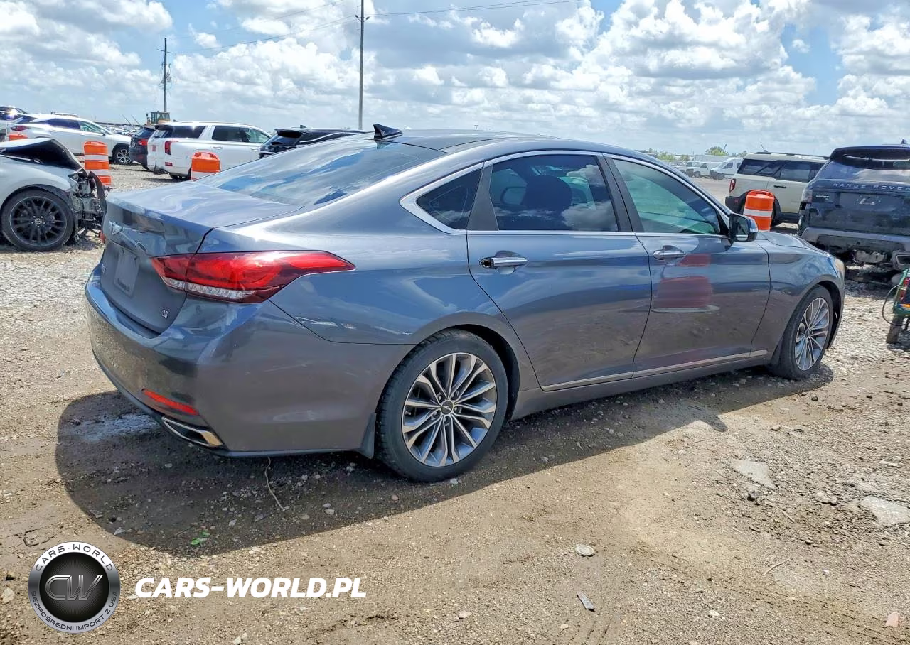 2016 Hyundai Genesis 3.8L VIN:KMHGN4JE0GU109168 - 3