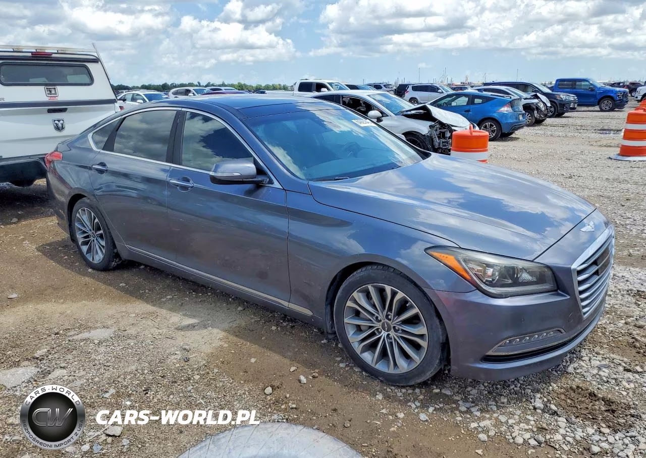 2016 Hyundai Genesis 3.8L VIN:KMHGN4JE0GU109168 - 4