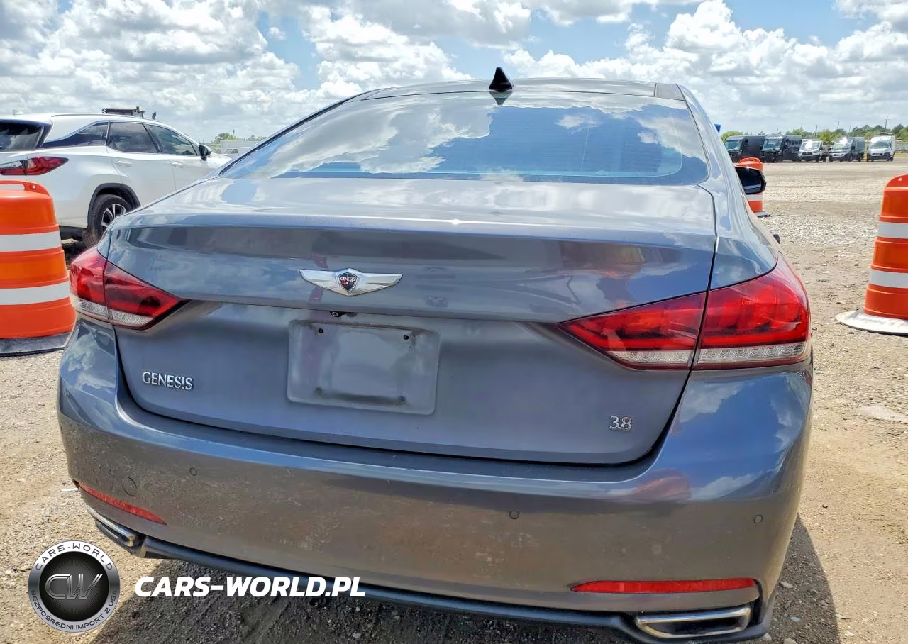 2016 Hyundai Genesis 3.8L VIN:KMHGN4JE0GU109168 - 6