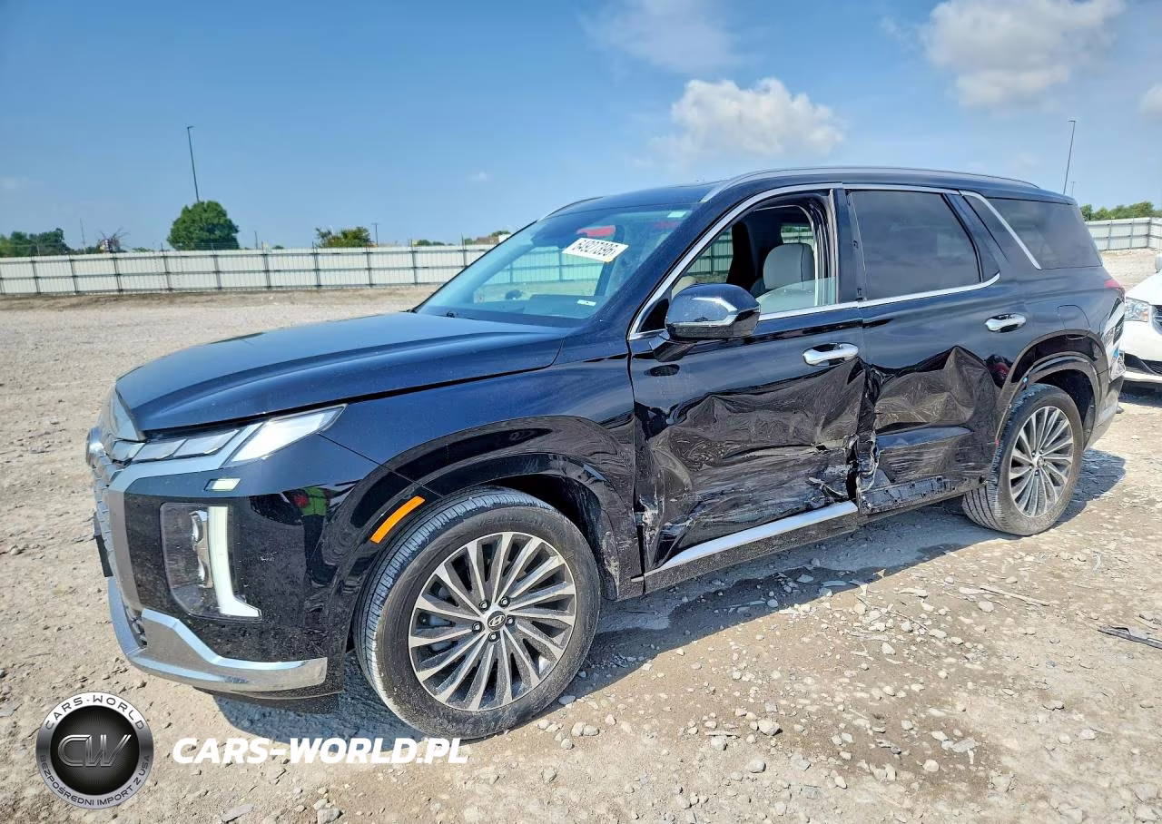 2024 Hyundai Palisade Calligraphy VIN:KM8R7DGE7RU647699 - 1