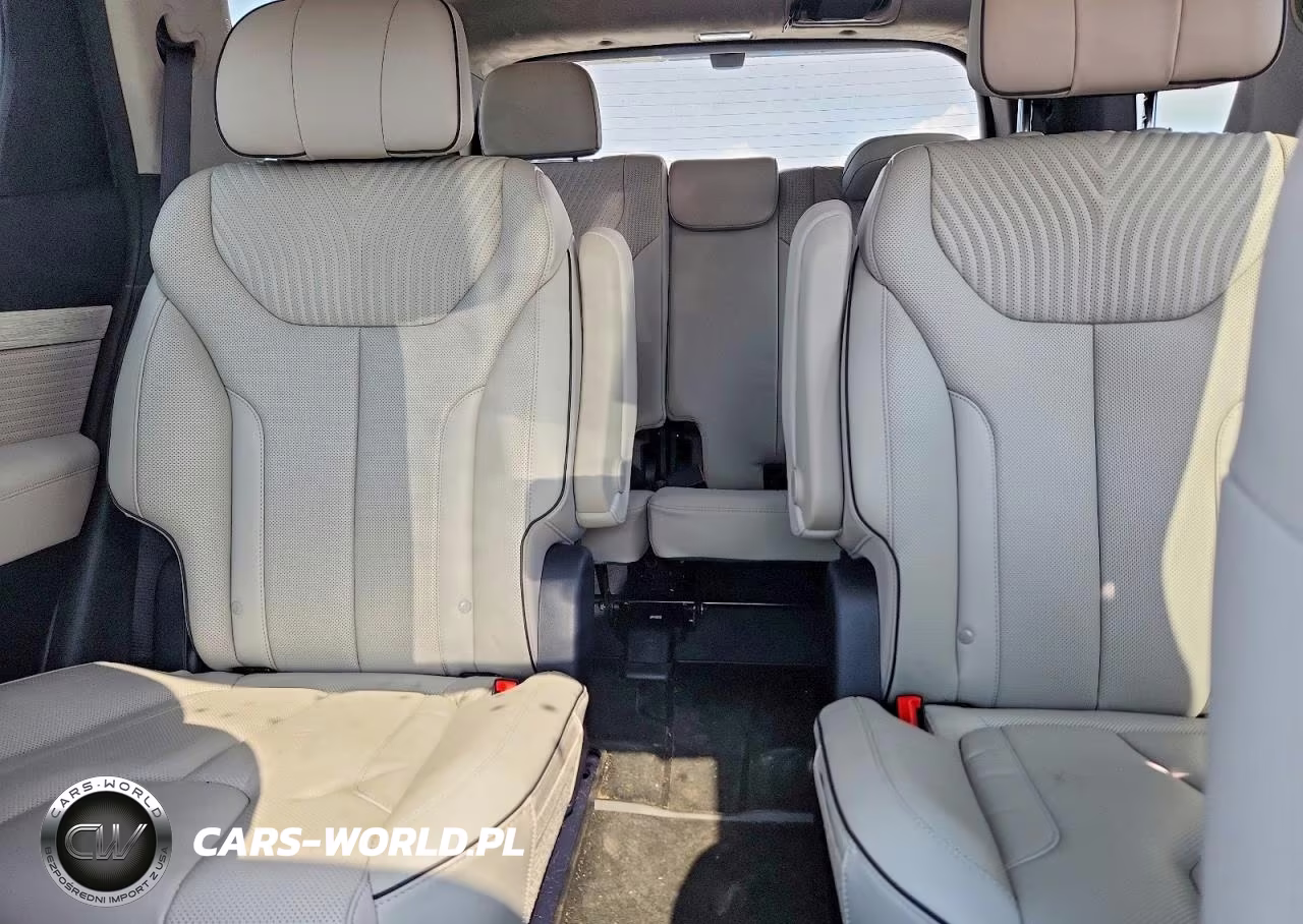 2024 Hyundai Palisade Calligraphy VIN:KM8R7DGE7RU647699 - 10