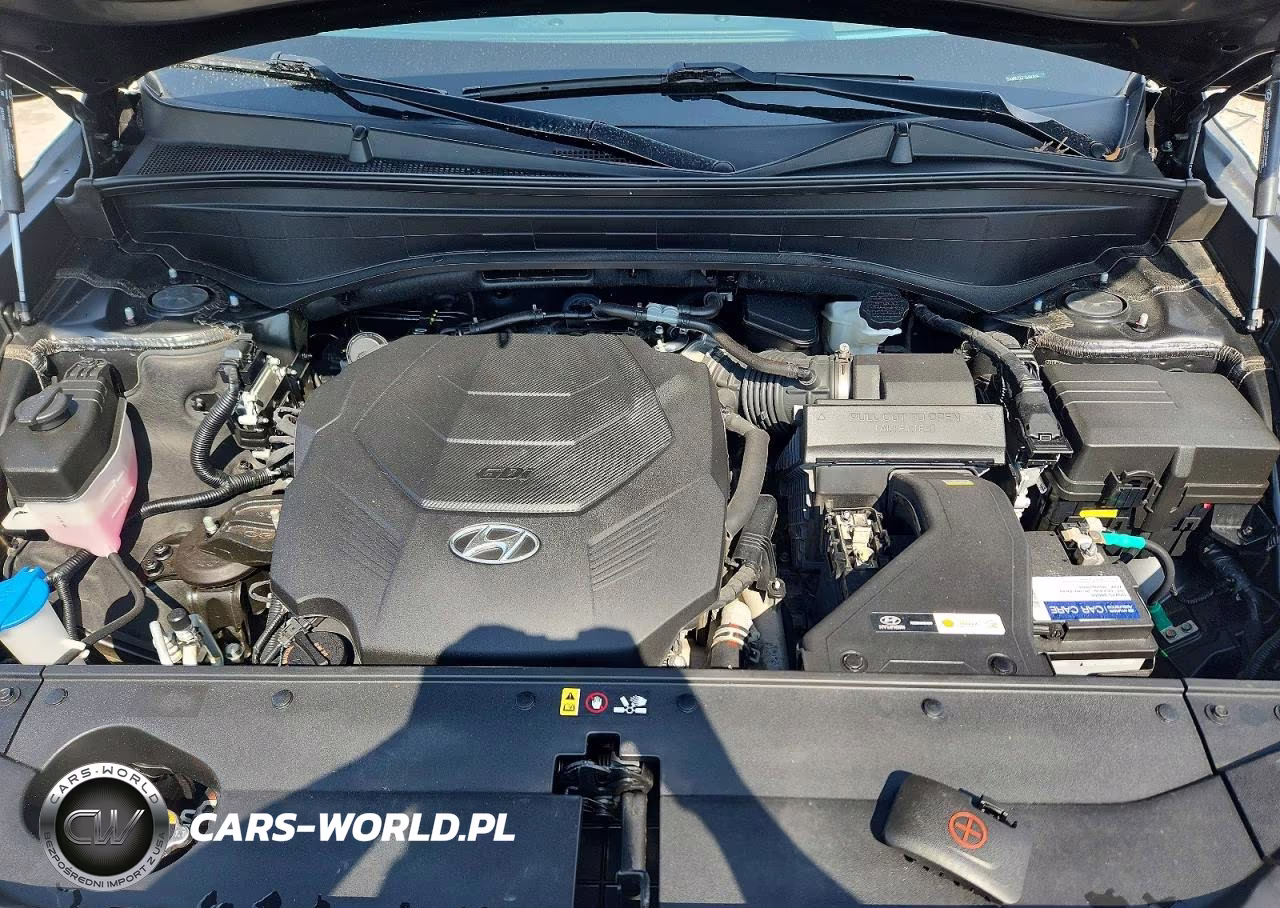 2024 Hyundai Palisade Calligraphy VIN:KM8R7DGE7RU647699 - 12