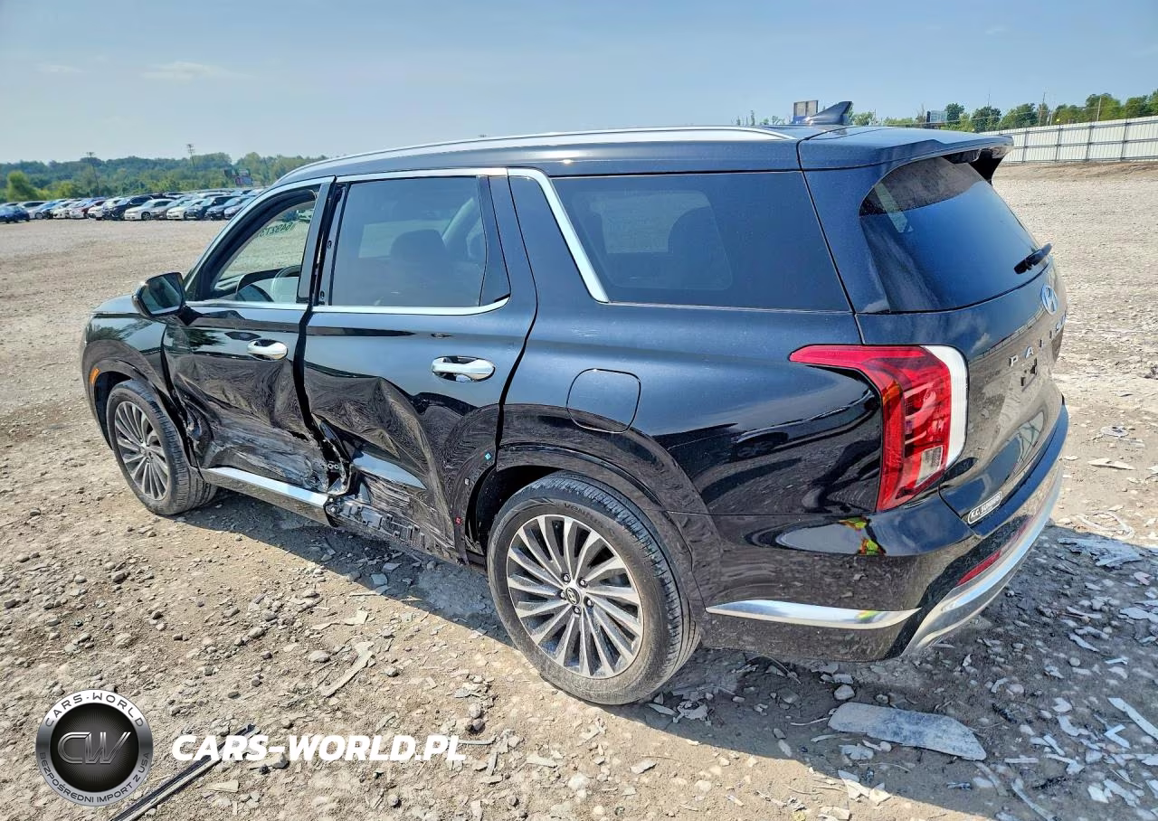 2024 Hyundai Palisade Calligraphy VIN:KM8R7DGE7RU647699 - 2