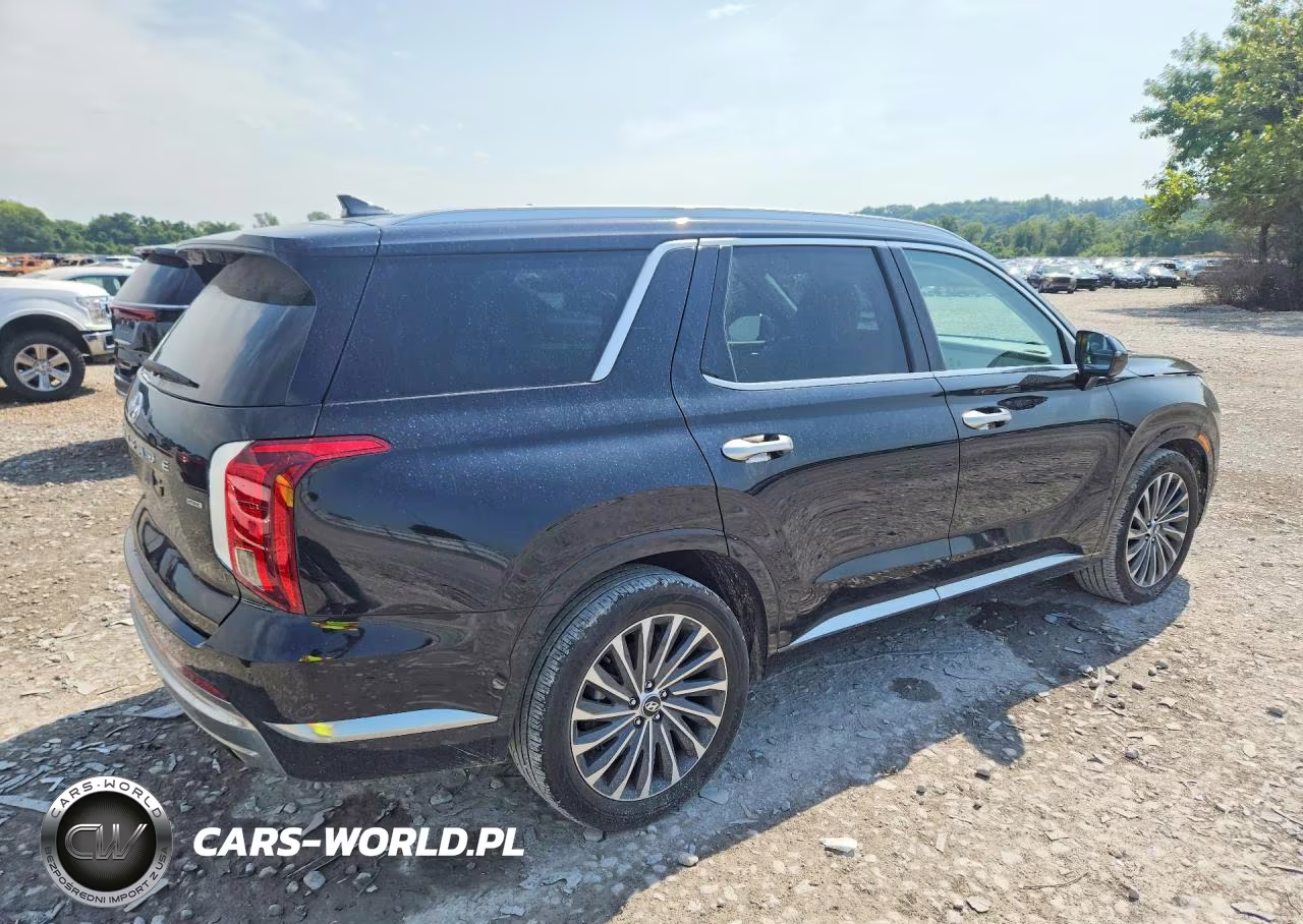 2024 Hyundai Palisade Calligraphy VIN:KM8R7DGE7RU647699 - 3