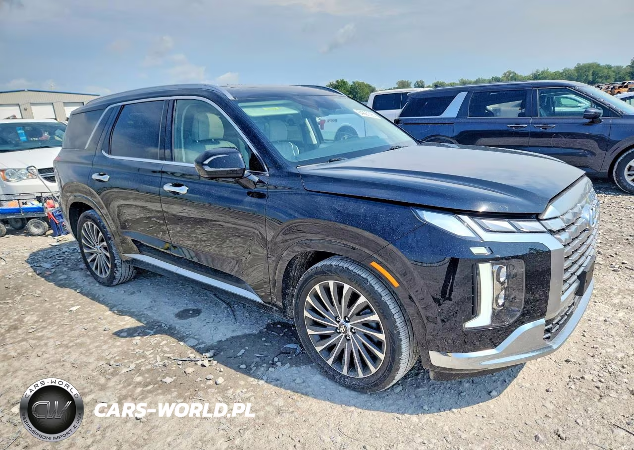 2024 Hyundai Palisade Calligraphy VIN:KM8R7DGE7RU647699 - 4