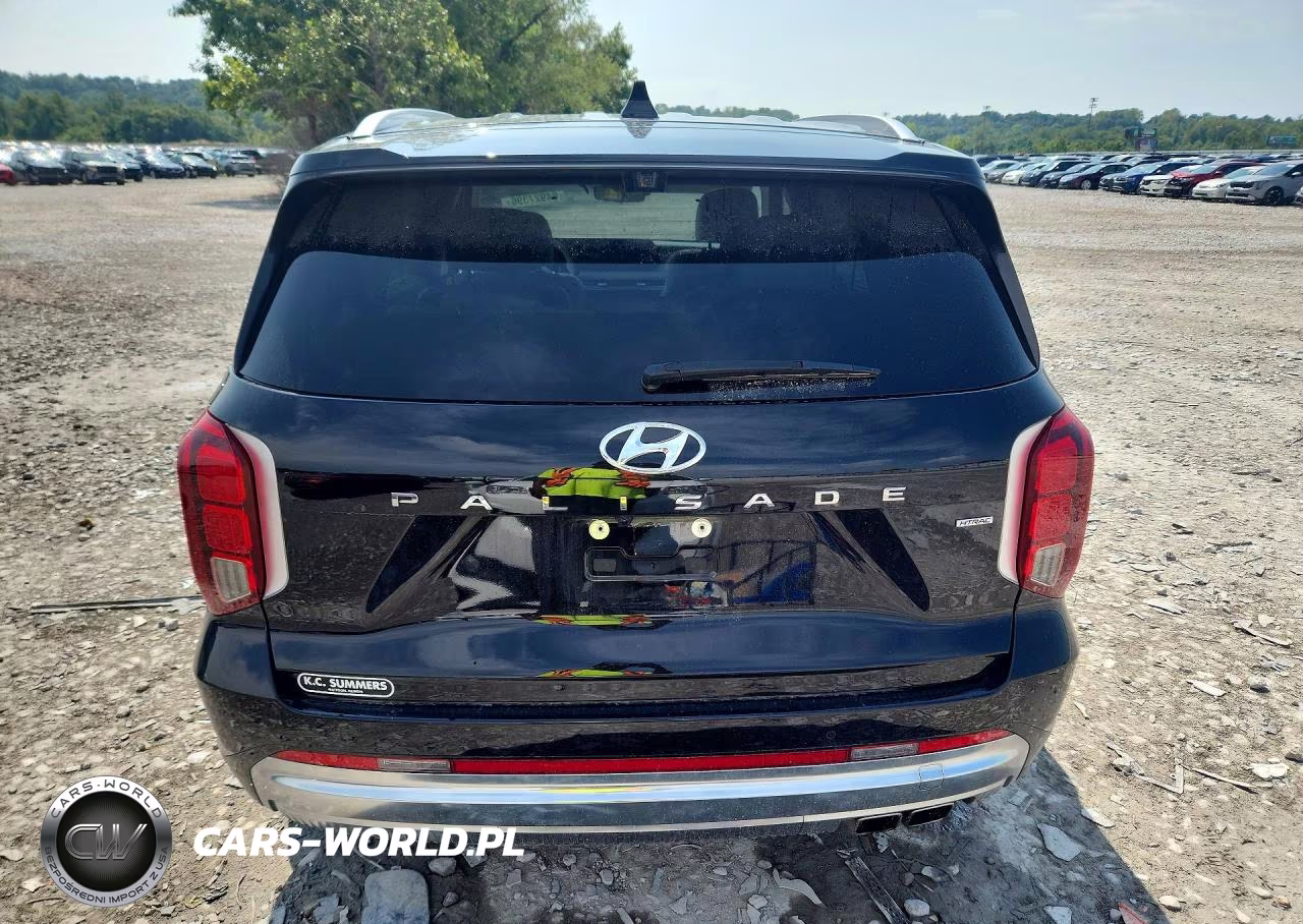 2024 Hyundai Palisade Calligraphy VIN:KM8R7DGE7RU647699 - 6