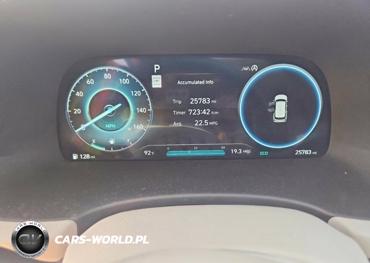 2024 Hyundai Palisade Calligraphy VIN:KM8R7DGE7RU647699 - 9