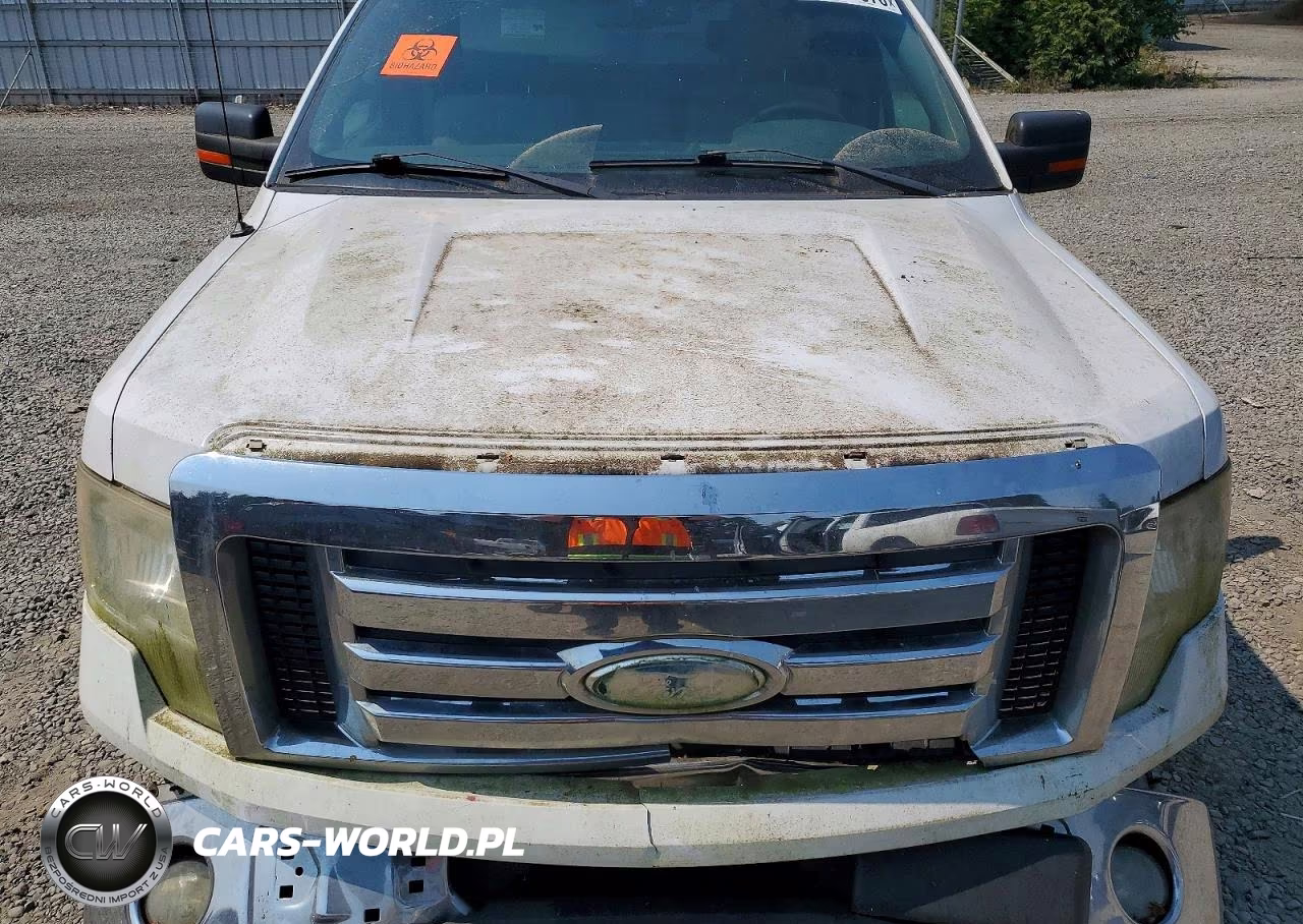 2009 Ford F150 Supercrew VIN:1FTRW12839KC79069 - 11