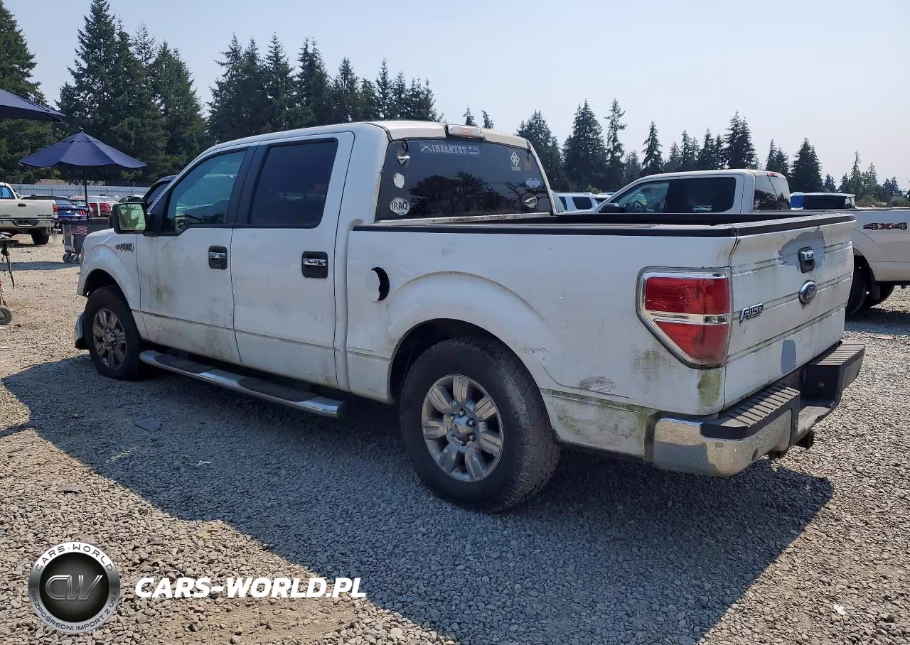 2009 Ford F150 Supercrew VIN:1FTRW12839KC79069 - 2